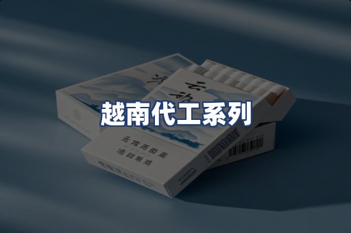 越南代工系列
